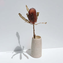 Load image into Gallery viewer, The Constellation Vase (SOLD OUT)