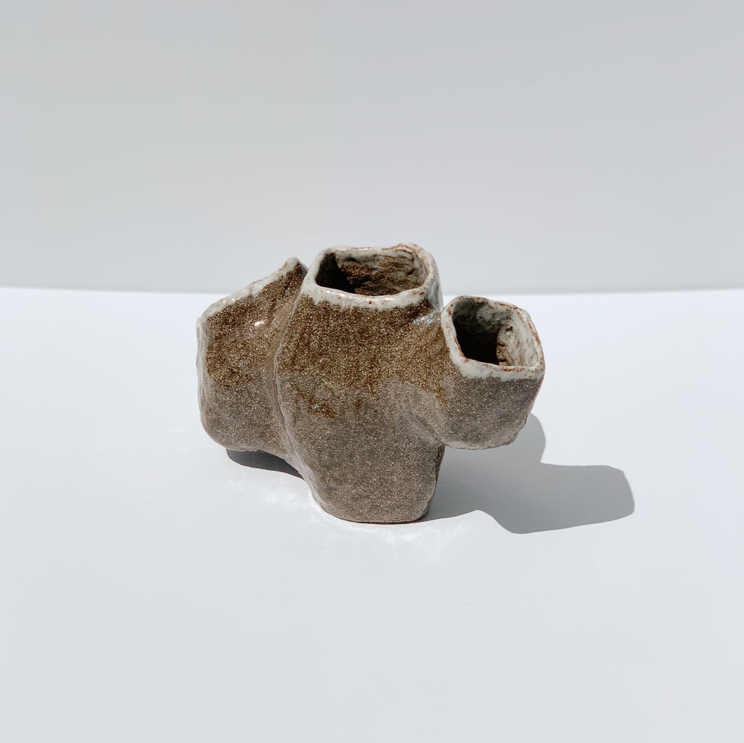 The Barnacle Vase