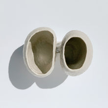 Load image into Gallery viewer, The Cunjevoi Vase
