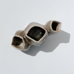 The Barnacle Vase