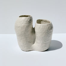 Load image into Gallery viewer, The Cunjevoi Vase

